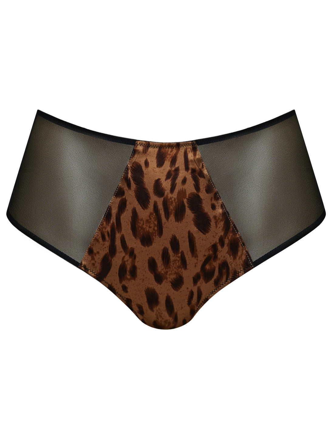 Cimorene High Waisted Silk Brief