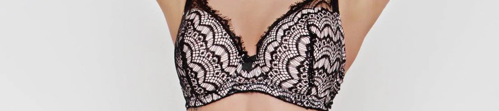 Bisou Bisou Sugar